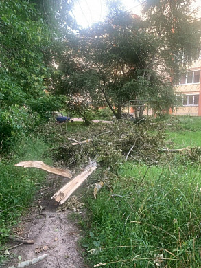 Ивановцы продолжают жаловаться на поваленные неделю назад деревья